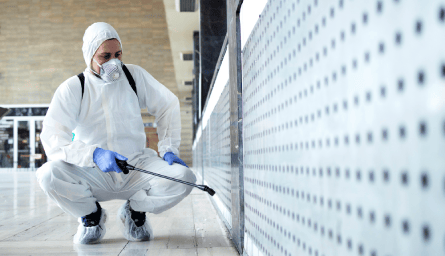 Why select Same day Pest Control Belmont